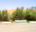 Al Maha Desert Resort (3 STP Plants) Al Maha Desert Resort (3 STP Plants)